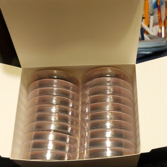 Lashes - Picture 6 of 8